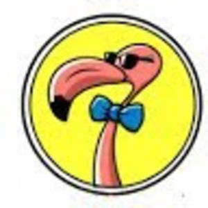 Meet your Posher, Bruce